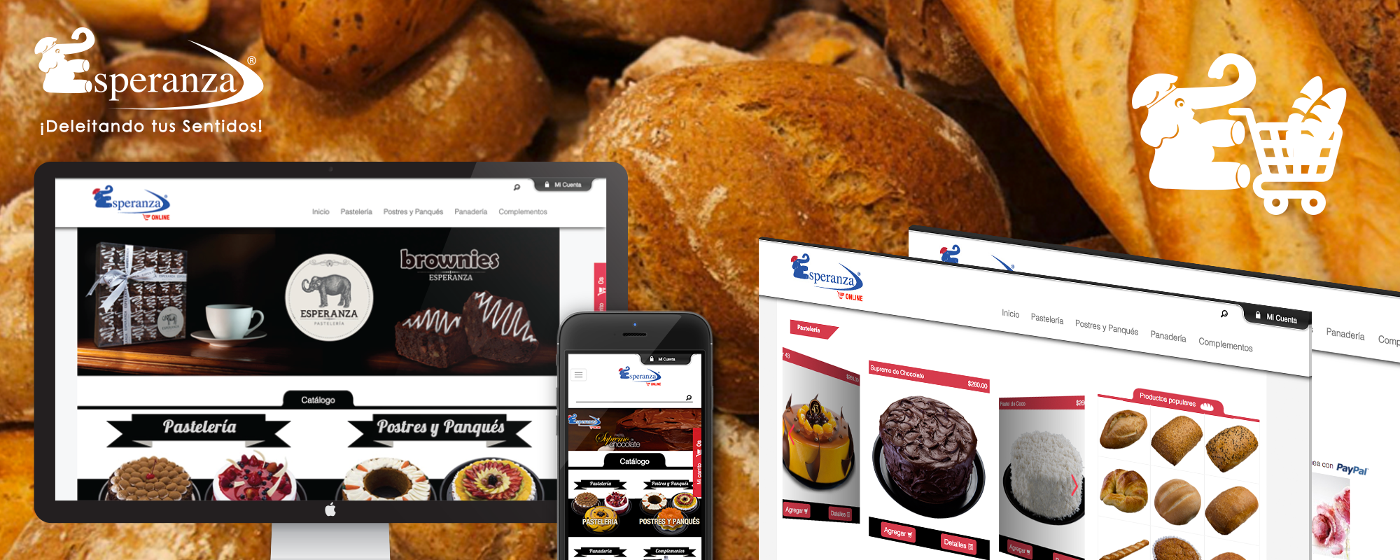 La Esperanza - <a href='http://tienda.esperanza.mx/' target='no_blank'>Ver Sitio</a>